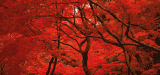ZS_Ecolution_160x78px_20240208